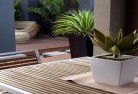 Box Headverandahs-5.jpg; ?>